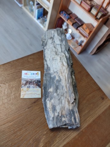 bois fossilisé