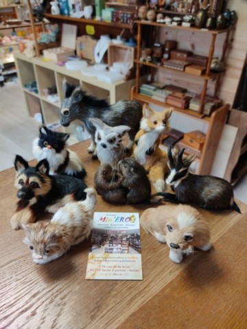 cabinet de curiosités animaux en fourrure