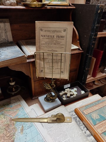 Cabinet de curiosités lyon Mâcon Cluny Tournus