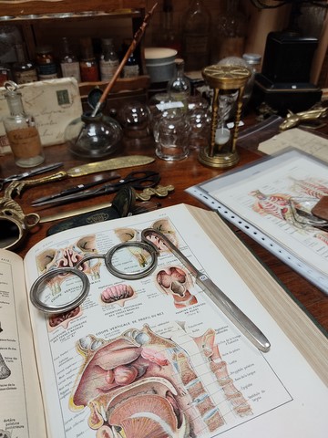 Cabinet de curiosités lyon Mâcon Cluny Tournus
