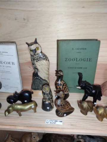 cabinet de curiosités ésotériques Mâcon