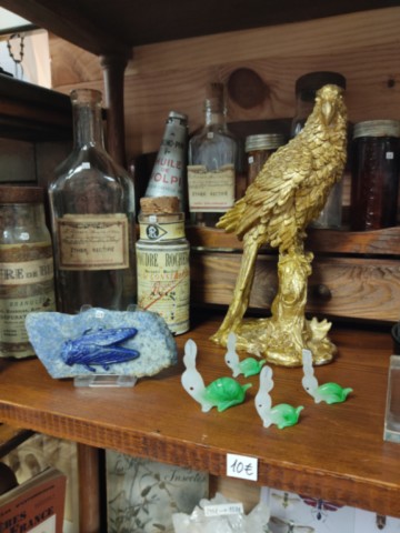 cabinet de curiosités ésotériques Mâcon