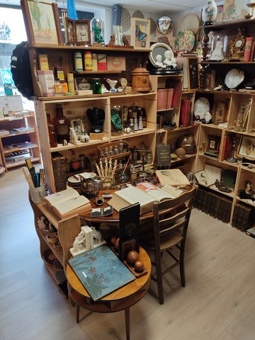 Cabinet de curiosités Min'EROS Macon Lyon
