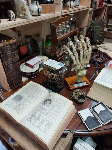 Cabinet de curiosités Min'EROS Macon Lyon
