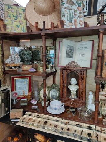 Cabinet de curiosités Min'EROS Macon Lyon