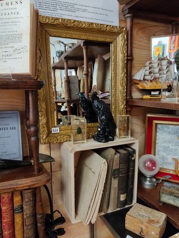 Cabinet de curiosités Min'EROS Macon Lyon