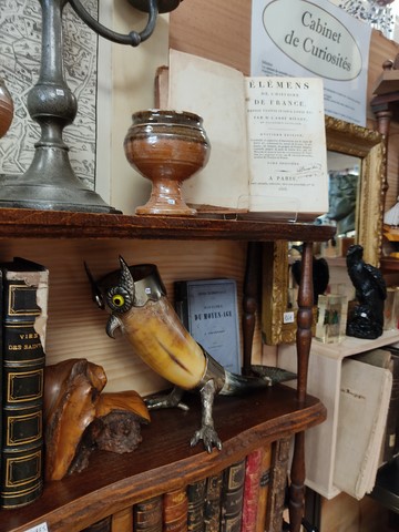 Cabinet de curiosités Min'EROS Macon Lyon
