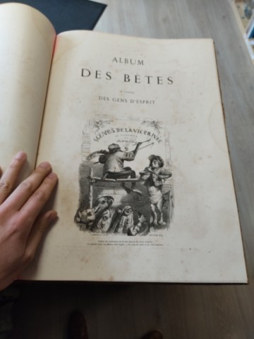 Livre ancien rare : l'album des bêtes