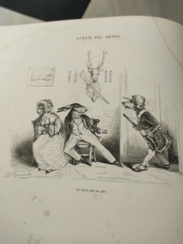 Livre ancien rare : l'album des bêtes