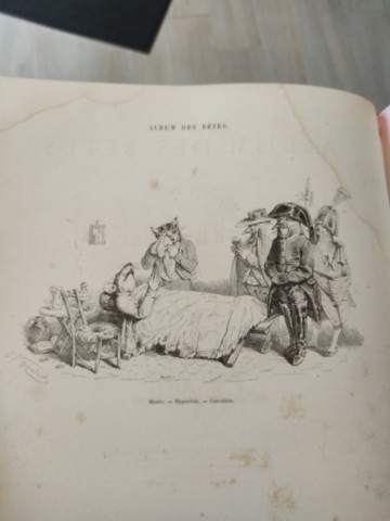 Livre ancien rare : l'album des bêtes