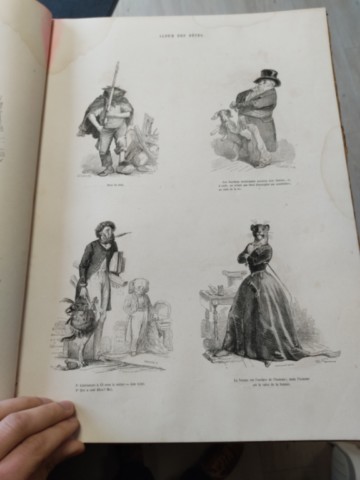 Livre ancien rare : l'album des bêtes