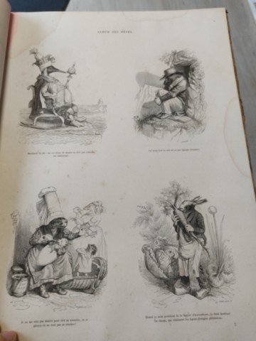 Livre ancien rare : l'album des bêtes