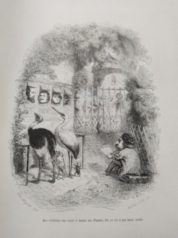 Livre ancien rare : l'album des bêtes