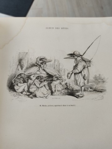 Livre ancien rare : l'album des bêtes