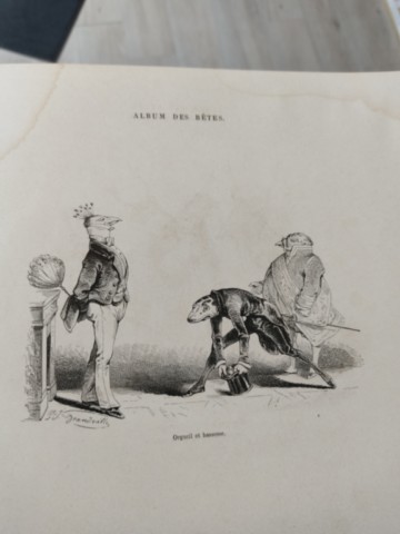 Livre ancien rare : l'album des bêtes