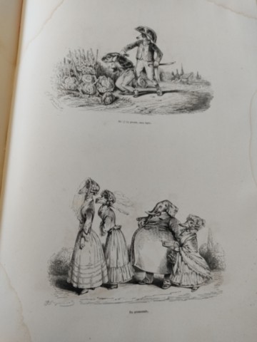 Livre ancien rare : l'album des bêtes
